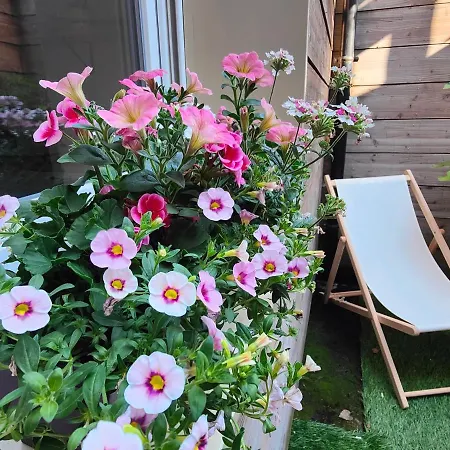 Le Bienvenu - T2 Avec Terrasse Au Coeur De Malo Apartment