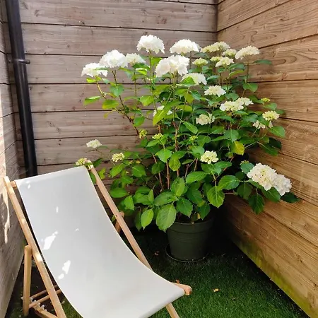 Le Bienvenu - T2 Avec Terrasse Au Coeur De Malo Dunkirk